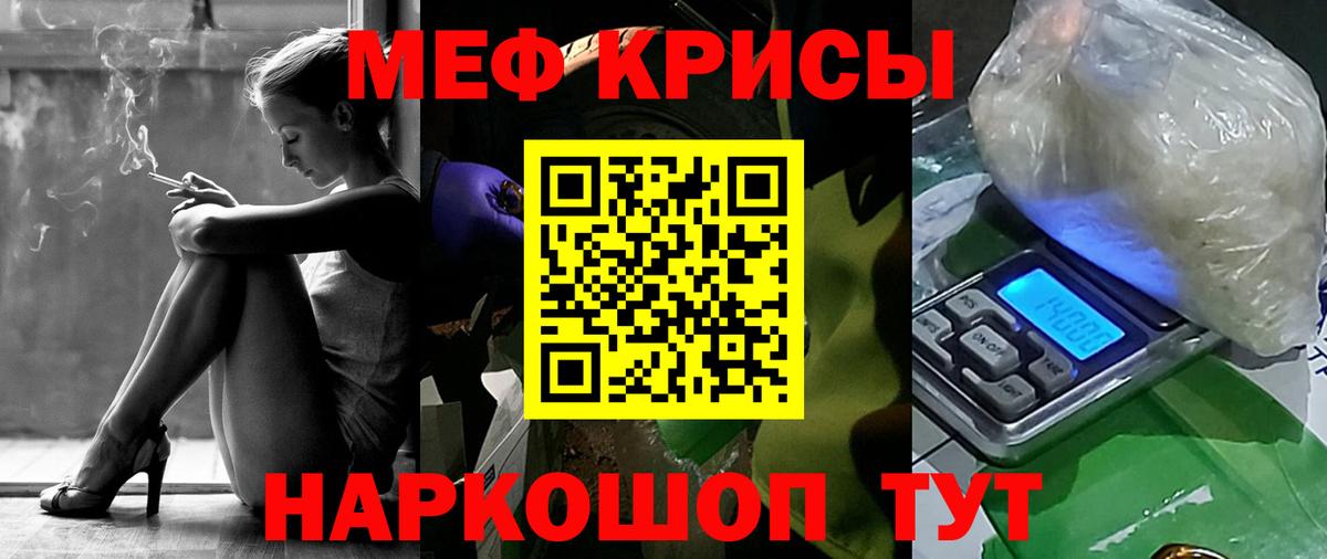 МЯУ-МЯУ мяу мяу  Вход с VPN  МЯУ-МЯУ  Йошкар-Ола  МЯУ-МЯУ мука 