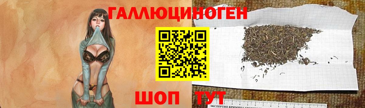 Псилоцибиновые грибы GOLDEN TEACHER  Вход с VPN  Псилоцибиновые грибы GOLDEN TEACHER  Йошкар-Ола 